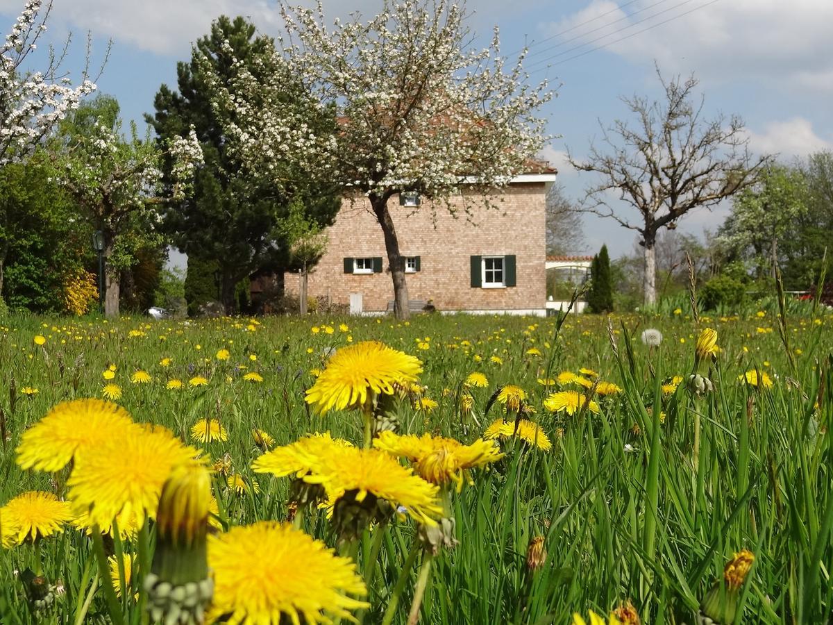 Landhaus Loewenzahn Unteregg Exterior foto